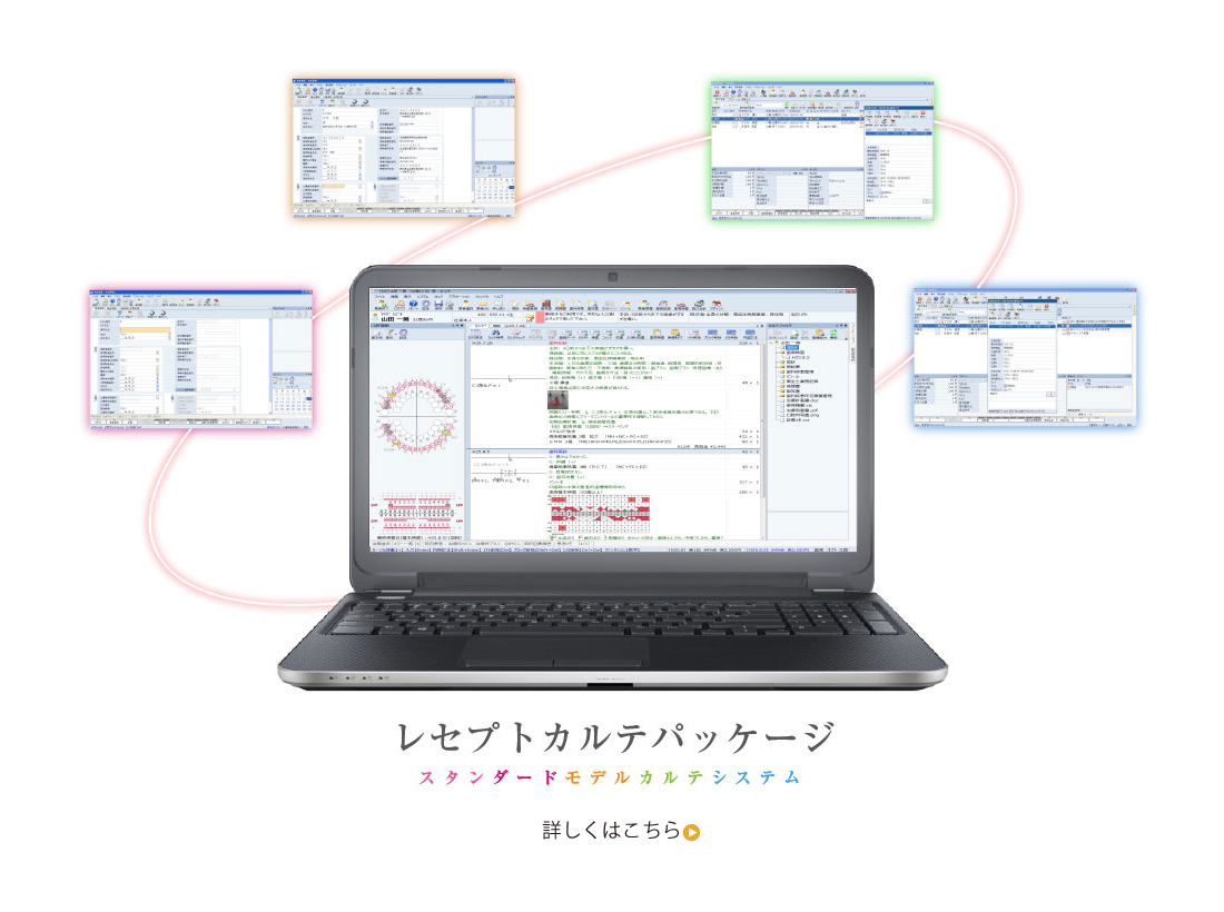 レセプトカルテパッケージシステム
